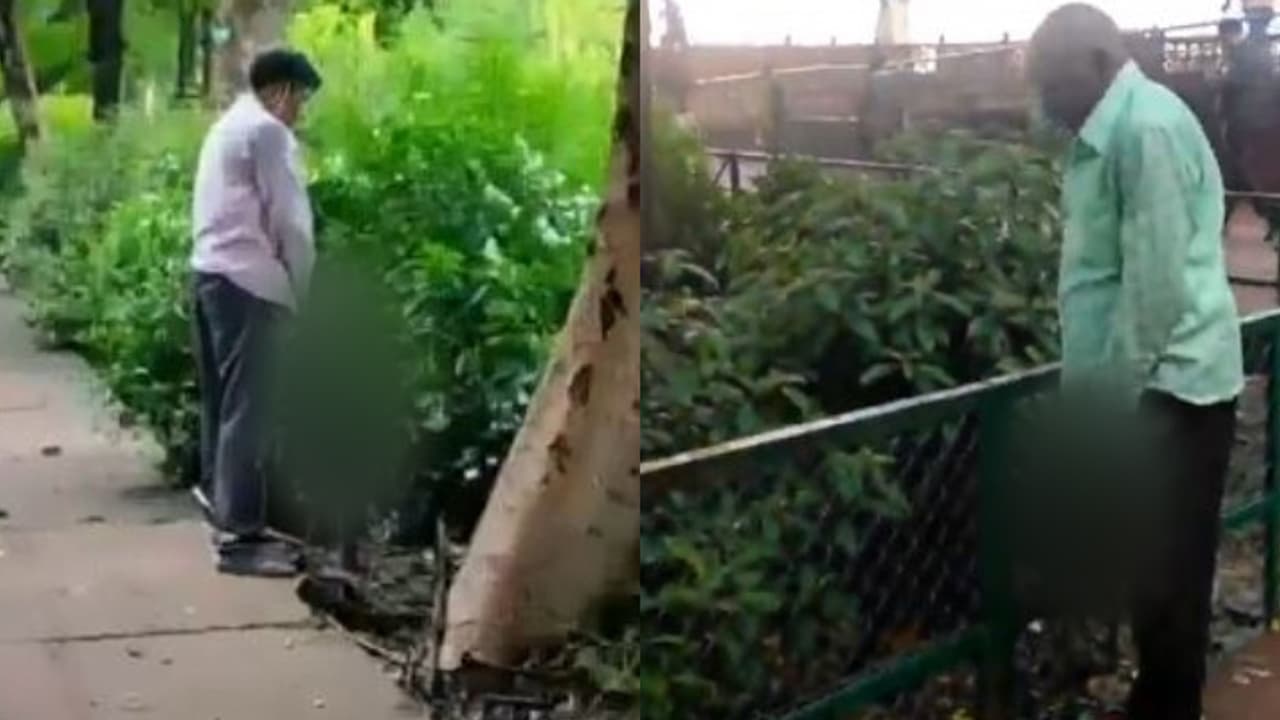 സിഐഎസ്എഫിന്റെ കനത്ത കാവലിന് ഇടയിലും താജ്മഹലിന് സമീപത്ത് മൂത്രമൊഴിച്ച് സഞ്ചാരികൾ, അന്വേഷണം സിഐഎസ്എഫിന്റെ കനത്ത കാവലിന് ഇടയിലും താജ്മഹലിന് സമീപത്ത് മൂത്രമൊഴിച്ച് സഞ്ചാരികൾ, അന്വേഷണം