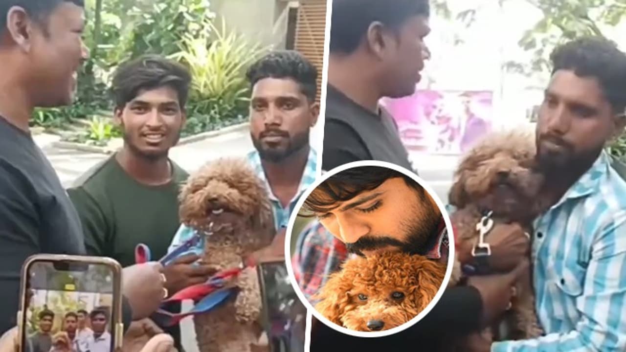 SHOCKING video: Ram Charan's fans forcefully grab and pull his pet dog Rhyme from guard to click photos SHOCKING video: Ram Charan's fans forcefully grab and pull his pet dog Rhyme from guard to click photos