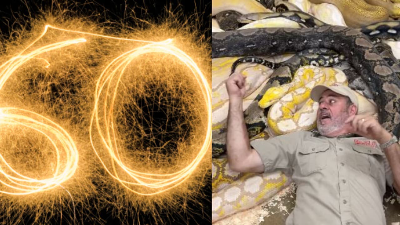 ചുറ്റിനും ഇഴയുന്ന പാമ്പുകൾ, ഷഷ്ഠി പൂർത്തി ആഘോഷത്തിന് 'സ്നേക് പാർട്ടി', വൈറലാണ് ഈ വയോധികൻ