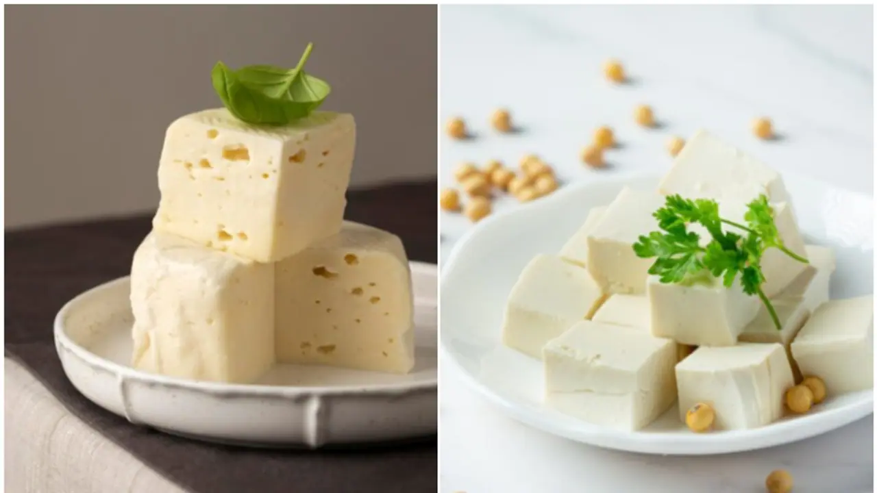 How to Identify Fake Paneer: A complete guide to ensure authenticity and quality How to Identify Fake Paneer: A complete guide to ensure authenticity and quality