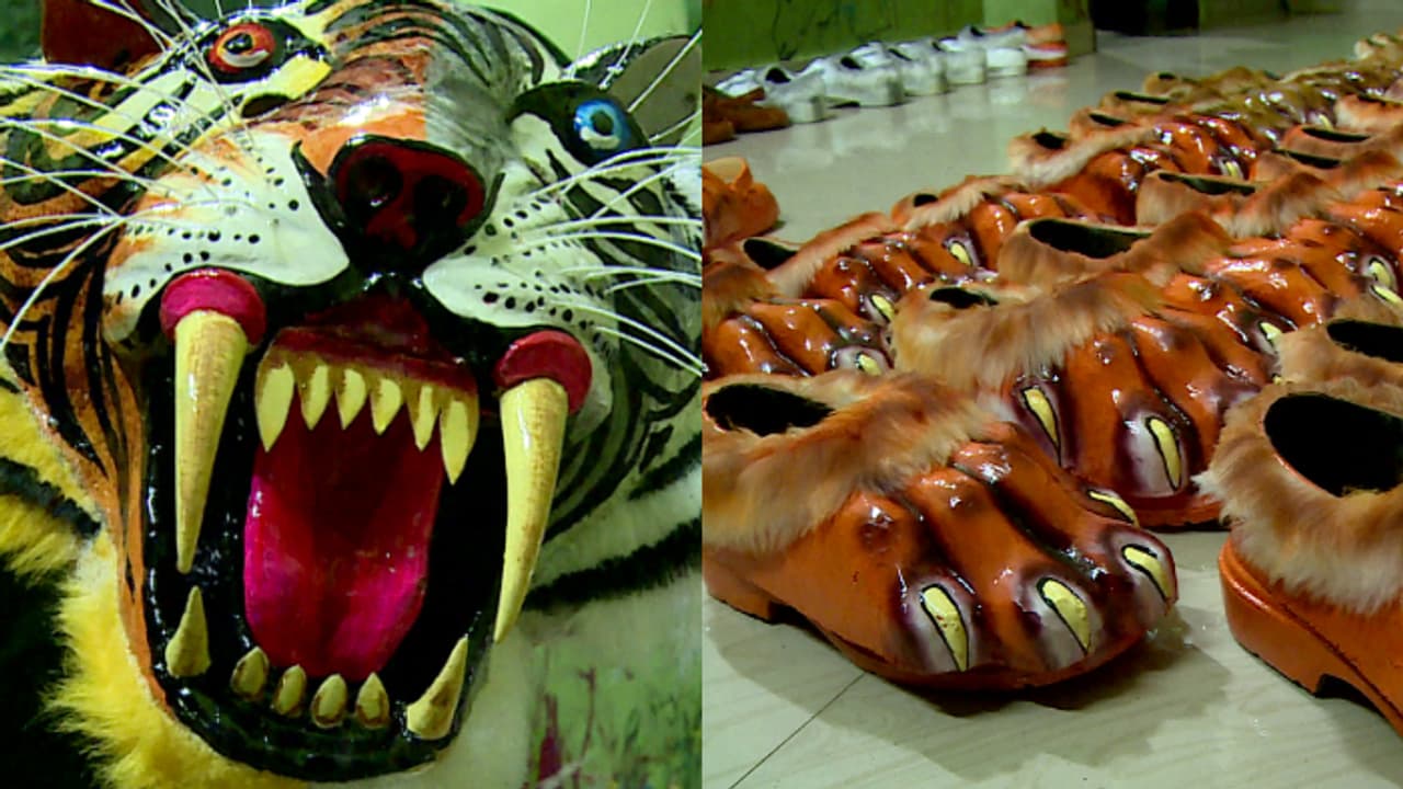 പുലിക്കളിക്കായി മടകളൊരുങ്ങി, സ്വരാജ് റൗണ്ടിനെ വിറപ്പിക്കാൻ സർപ്രൈസ് പുലികൾ ഇറങ്ങും, ഒരുക്കം അവസാനഘട്ടത്തിൽ പുലിക്കളിക്കായി മടകളൊരുങ്ങി, സ്വരാജ് റൗണ്ടിനെ വിറപ്പിക്കാൻ സർപ്രൈസ് പുലികൾ ഇറങ്ങും, ഒരുക്കം അവസാനഘട്ടത്തിൽ