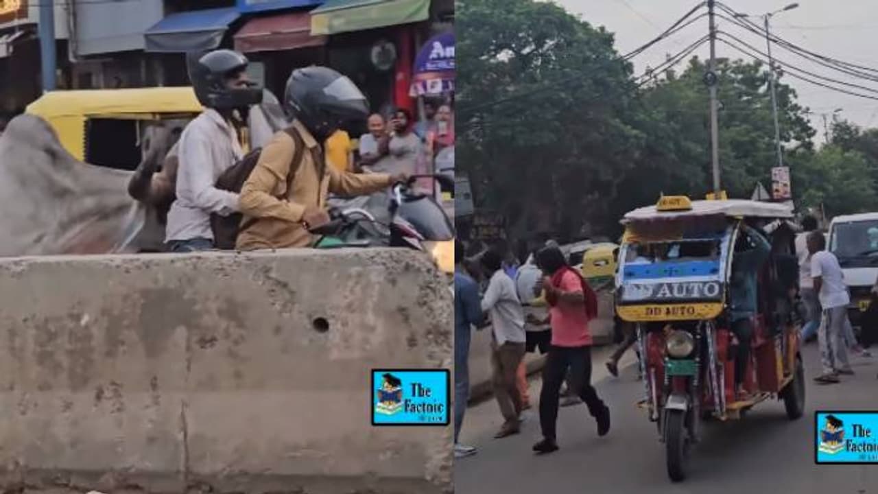 ഞെട്ടിക്കുന്ന ദൃശ്യങ്ങൾ, റോഡിലൂടെ ബൈക്കിലെ തള്ളിക്കൊണ്ടുപോകുന്ന കാള, ആകെ കോലാഹാലം