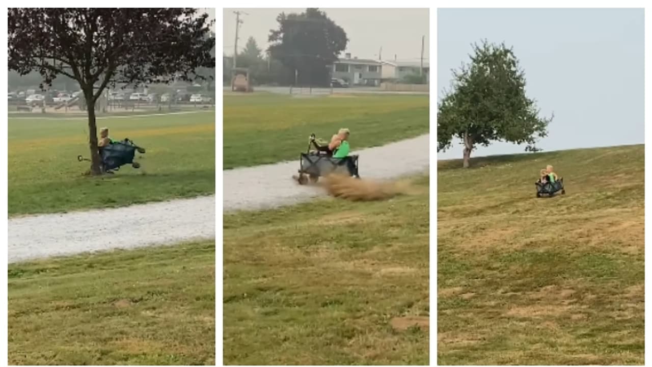 അതിവേഗം കുന്നിറങ്ങിയ കളിപ്പാട്ട വണ്ടി മരത്തിലിടിച്ച് മറിഞ്ഞ് കുരുന്നുകൾ; ചിരിക്കുന്ന അച്ഛന്‍റെ വീഡിയോ വൈറൽ 