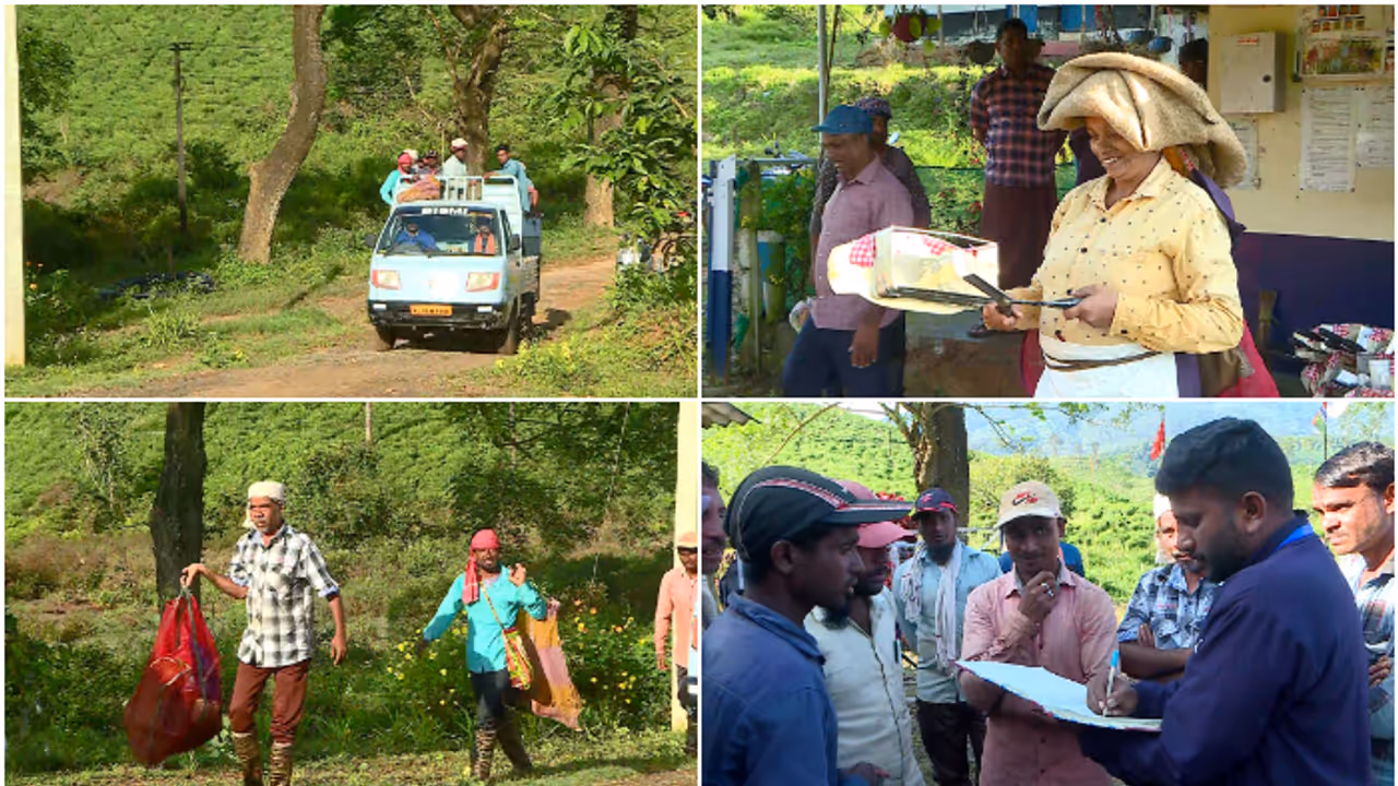 അതിജീവനത്തിൻ്റെ പുൽനാമ്പുകൾ; മണ്മറഞ്ഞവർക്ക് അനുശോചനത്തോടെ തുടക്കം, ഉരുൾപ്പൊട്ടലിന് ശേഷം തൊഴിലാളികൾ ജോലിയ്ക്ക് അതിജീവനത്തിൻ്റെ പുൽനാമ്പുകൾ; മണ്മറഞ്ഞവർക്ക് അനുശോചനത്തോടെ തുടക്കം, ഉരുൾപ്പൊട്ടലിന് ശേഷം തൊഴിലാളികൾ ജോലിയ്ക്ക്