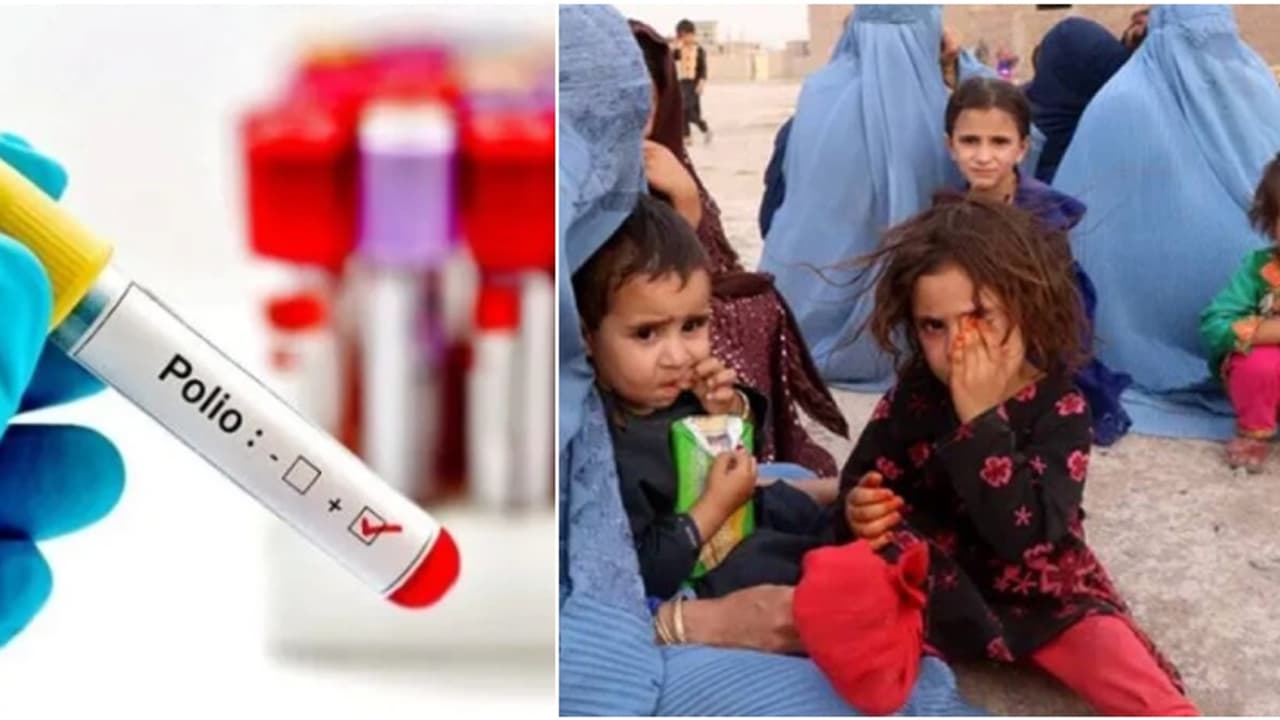 അഫ്ഗാനിസ്ഥാനിൽ പോളിയോ വാക്സിനേഷൻ നിർത്തിവെച്ച് താലിബാൻ; മുന്നറിയിപ്പുമായി യുഎൻ അഫ്ഗാനിസ്ഥാനിൽ പോളിയോ വാക്സിനേഷൻ നിർത്തിവെച്ച് താലിബാൻ; മുന്നറിയിപ്പുമായി യുഎൻ