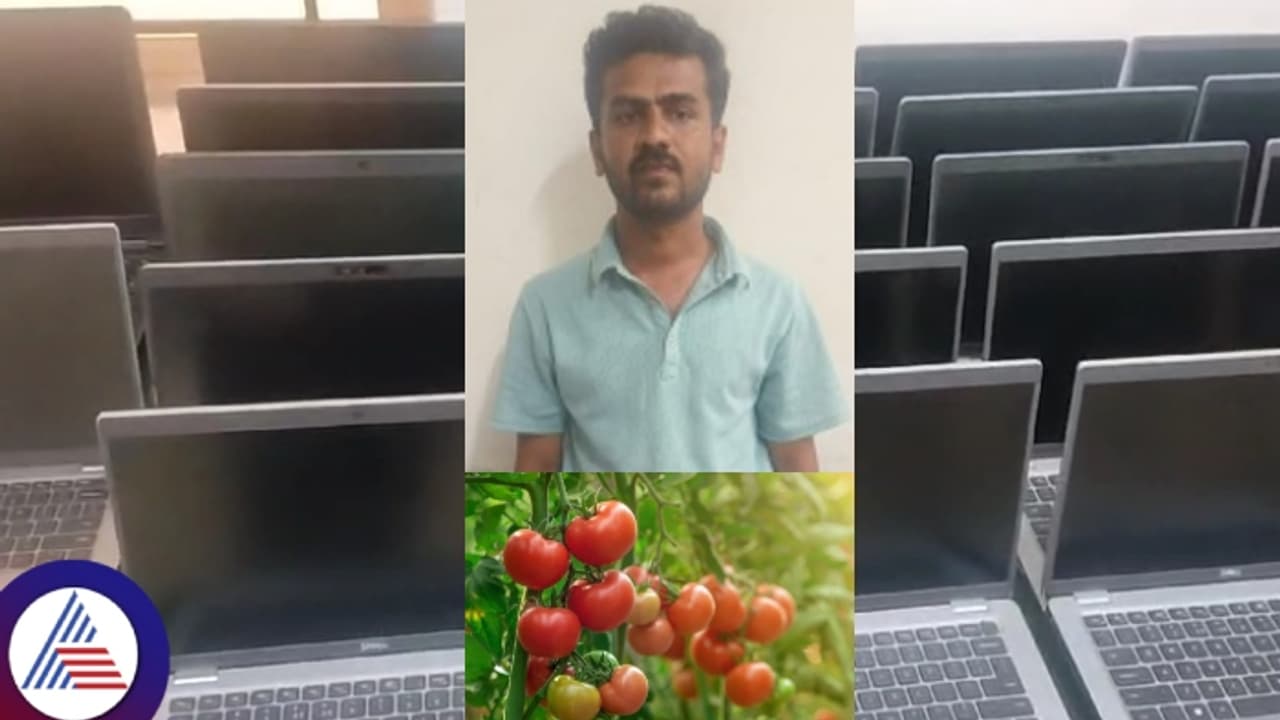 ಟೊಮೆಟೋ ಸಾಲ ತೀರಿಸಲು 50 ಲ್ಯಾಪ್‌ಟಾಪ್ ಕದ್ದ ಬೆಂಗಳೂರಿನ ಟೆಕ್ಕಿ!