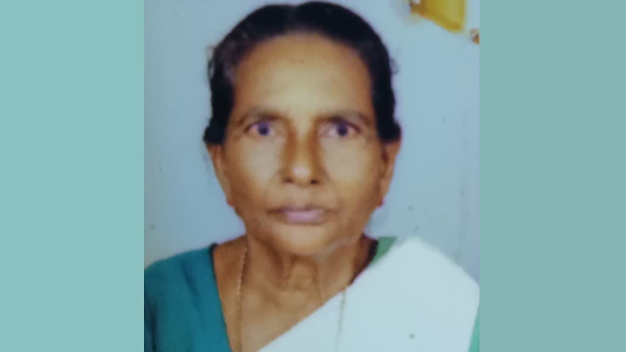 കുടുംബത്തോടൊപ്പം പോകവേ ഓട്ടോയിൽ ലോറി ഇടിച്ചു, പരിക്കേറ്റ വയോധിക മരിച്ചു; ലോറി ഇപ്പോഴും കാണാമറയത്ത് കുടുംബത്തോടൊപ്പം പോകവേ ഓട്ടോയിൽ ലോറി ഇടിച്ചു, പരിക്കേറ്റ വയോധിക മരിച്ചു; ലോറി ഇപ്പോഴും കാണാമറയത്ത്