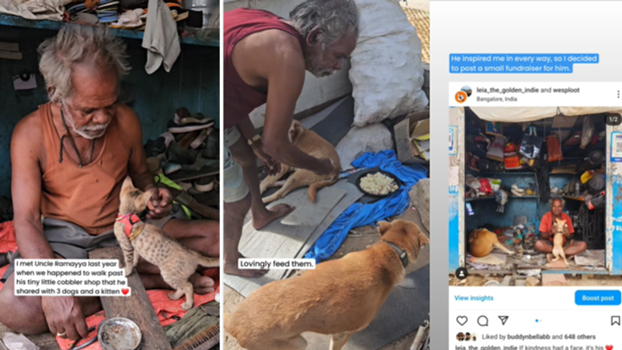 ಸಣ್ಣ ಜಾಗದಲ್ಲಿ 3 ನಾಯಿ, ಬೆಕ್ಕಿಗೆ ಆಶ್ರಯ: ಬೆಂಗಳೂರಿನ ಬಡ ಚಮ್ಮಾರ ತಾತಗೆ ಮಿಡಿದ ಜನ!