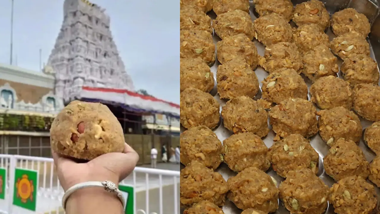 Beef fat, fish oil in Tirupati laddoos: Calls for punishment like 'kumbhipakam', hang till death & more surge