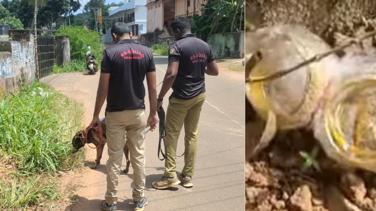 'പിടിക്കുമെന്നുറപ്പായപ്പോൾ സ്വർണം തിരിച്ചുവെച്ചതാണ്'; ഉത്രാടദിനത്തിലെ മോഷണക്കേസ് പ്രതിയെ പിടികൂടുമെന്ന് പൊലീസ് 'പിടിക്കുമെന്നുറപ്പായപ്പോൾ സ്വർണം തിരിച്ചുവെച്ചതാണ്'; ഉത്രാടദിനത്തിലെ മോഷണക്കേസ് പ്രതിയെ പിടികൂടുമെന്ന് പൊലീസ്