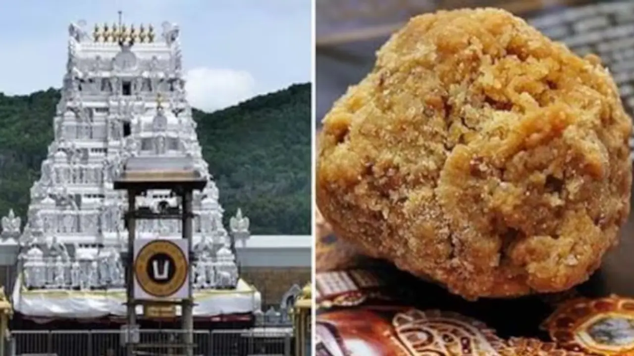 Tirupati Laddoo