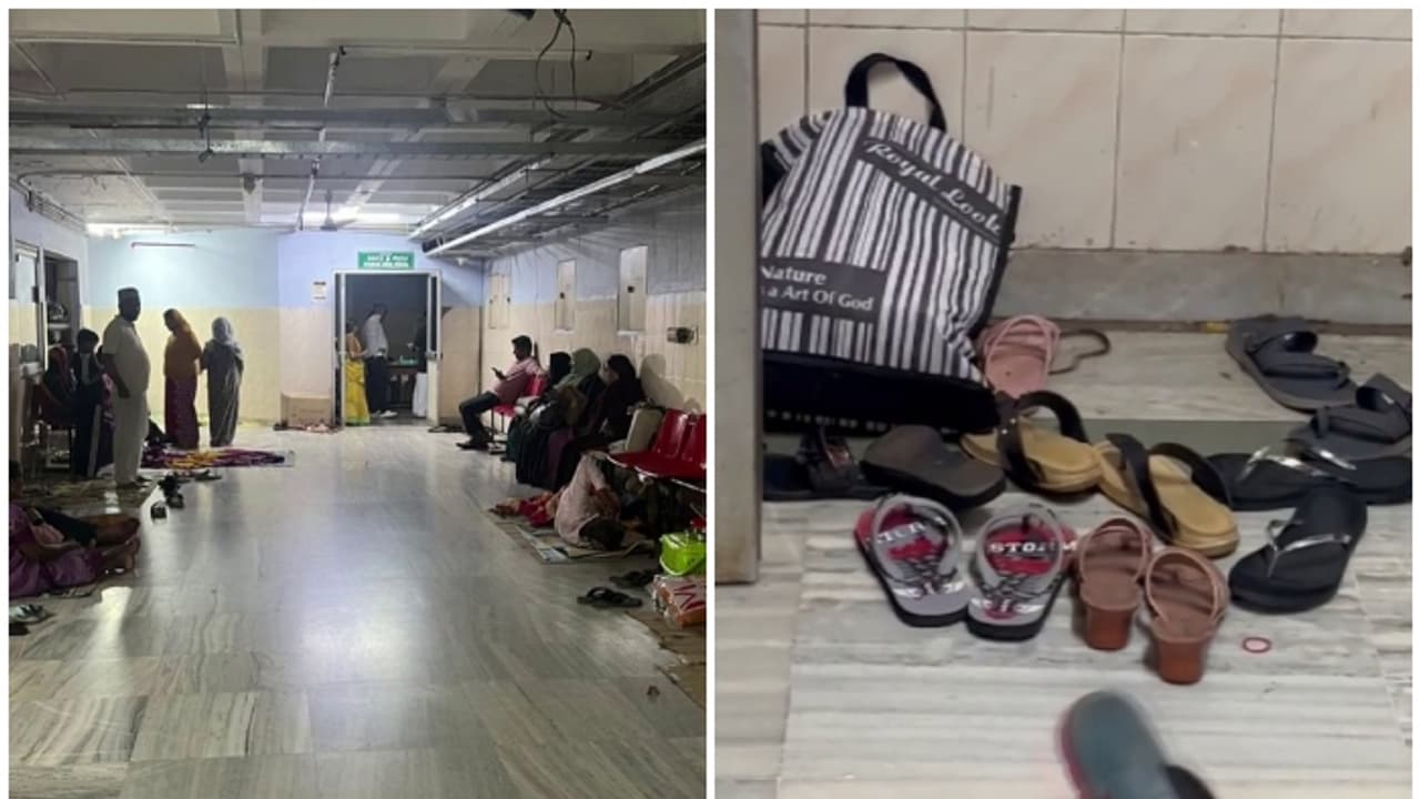 രക്ഷയില്ല, അഞ്ചാം നിലയിൽ വരെയെത്തി! നവജാത ശിശുക്കളുടെ ഐസിയുവിനടുത്തും പാമ്പ്, ഭയന്ന് രോഗികളും ജീവനക്കാരും രക്ഷയില്ല, അഞ്ചാം നിലയിൽ വരെയെത്തി! നവജാത ശിശുക്കളുടെ ഐസിയുവിനടുത്തും പാമ്പ്, ഭയന്ന് രോഗികളും ജീവനക്കാരും