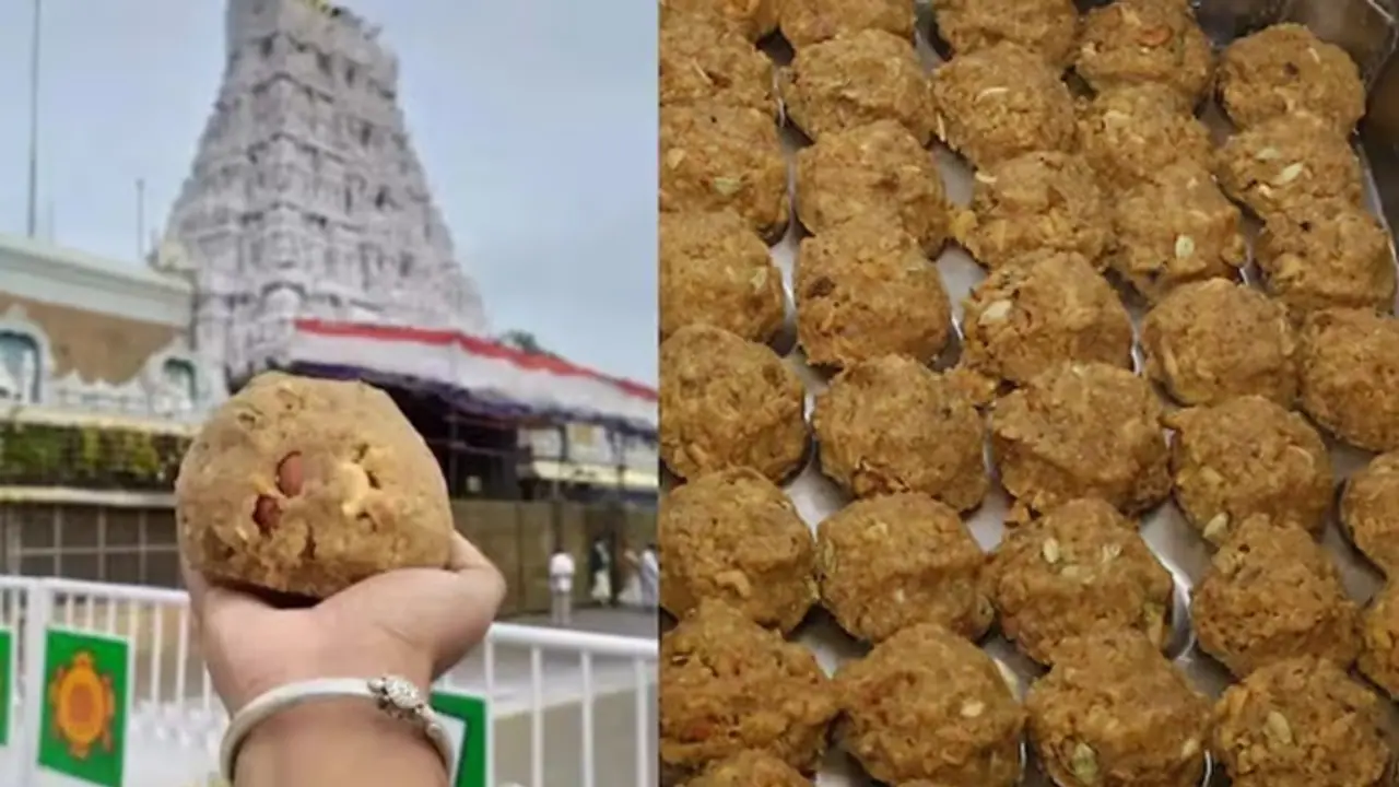Tirupati laddu row decoded in numbers: Rs 50 each, over 3 lakh produced daily, Rs 500 cr annual revenue & more