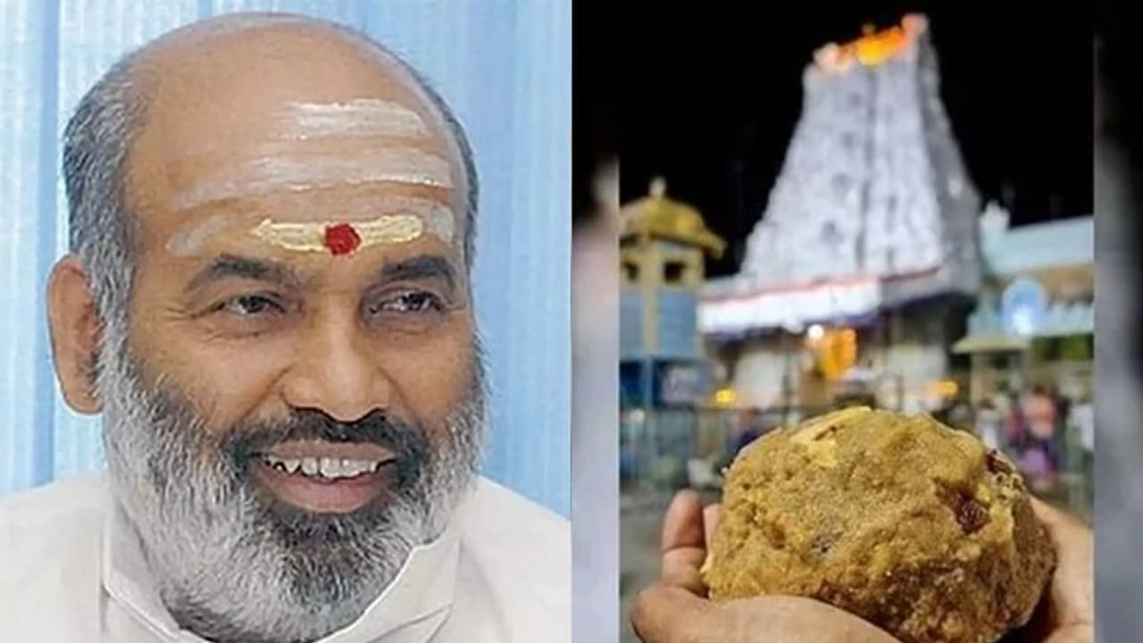 ತಿರುಪತಿಯ 'ನಾನ್‌ವೆಜ್‌..' ಪ್ರಸಾದ ತಿಂದ ಪಾಪ ಕಾಡ್ತಿದ್ಯಾ? ದೈವಜ್ಞ ಸೋಮಯಾಜಿ ಪರಿಹಾರ ಹೇಳಿದ್ದಾರೆ ನೋಡಿ..