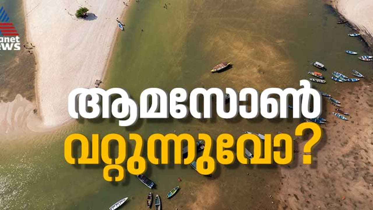 ലോകത്തിലെ ഏറ്റവും വലിയ നദിയും വരളുന്നുവോ? ആമസോണിന് സംഭവിക്കുന്നതെന്ത്? 