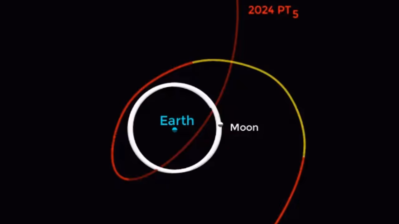 ചന്ദ്രന് കമ്പനി കൊടുക്കാൻ 'കുഞ്ഞൻ' ഉടനെത്തും; എന്താണ് മിനി മൂൺ ഇവന്റ്, അടുത്തത് ഏത് വര്ഷം? ചന്ദ്രന് കമ്പനി കൊടുക്കാൻ 'കുഞ്ഞൻ' ഉടനെത്തും; എന്താണ് മിനി മൂൺ ഇവന്റ്, അടുത്തത് ഏത് വര്ഷം?