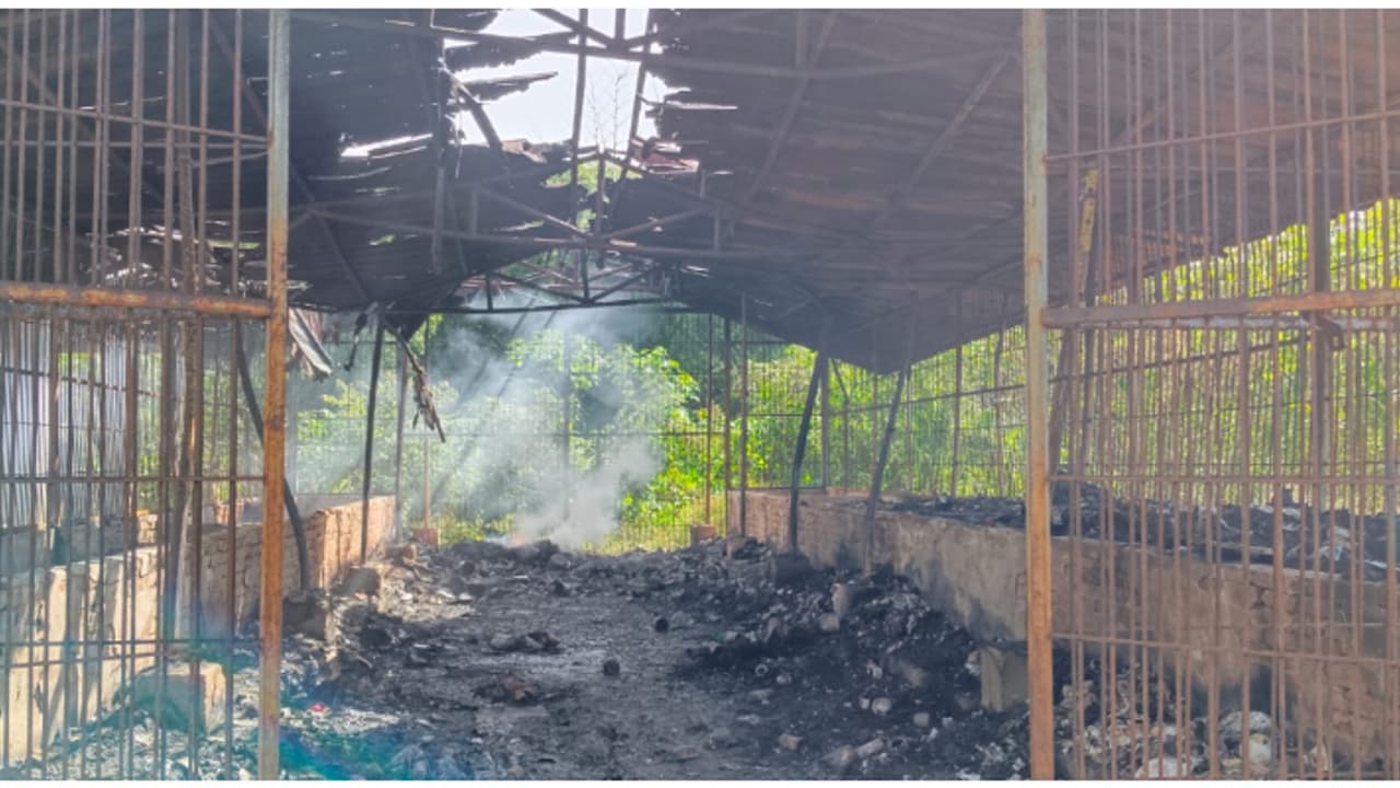 കീഞ്ഞുക്കടവിലെ മാലിന്യ കേന്ദ്രത്തിൽ ഇടയ്ക്കിടെ തീപിടുത്തം; കാരണമെന്ത്? കണ്ടെത്താൻ പൊലീസ് അന്വേഷണം കീഞ്ഞുക്കടവിലെ മാലിന്യ കേന്ദ്രത്തിൽ ഇടയ്ക്കിടെ തീപിടുത്തം; കാരണമെന്ത്? കണ്ടെത്താൻ പൊലീസ് അന്വേഷണം