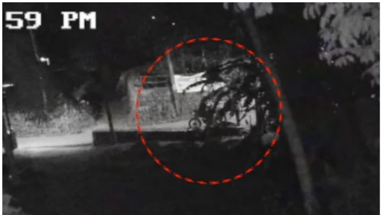 വാഴകൾക്ക് കാവലിരിക്കേണ്ട ഗതികേടിൽ കർഷർ; ക്യാമറയിൽ കിട്ടിയത് ബൈക്കിൽ വന്നവരുടെ ദൃശ്യങ്ങൾ, ആളെ തിരിച്ചറിഞ്ഞില്ല വാഴകൾക്ക് കാവലിരിക്കേണ്ട ഗതികേടിൽ കർഷർ; ക്യാമറയിൽ കിട്ടിയത് ബൈക്കിൽ വന്നവരുടെ ദൃശ്യങ്ങൾ, ആളെ തിരിച്ചറിഞ്ഞില്ല