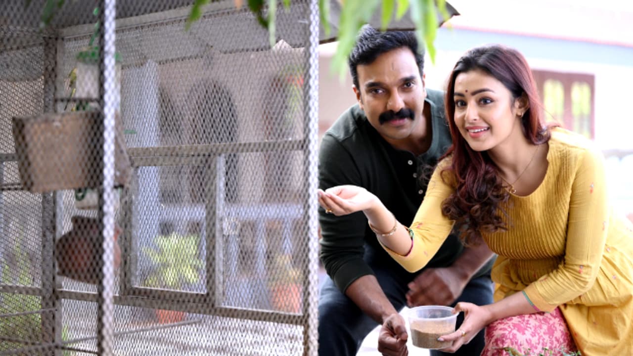 പ്രേക്ഷകരെ ത്രില്ലടിപ്പിക്കാന്‍ 'ചിത്തിനി'; 27 ന് തിയറ്ററുകളില്‍