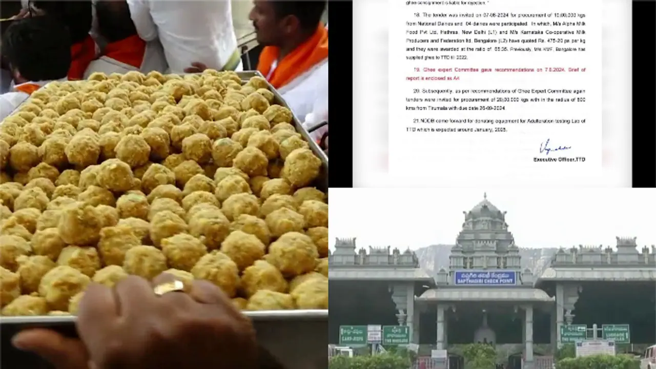 തിരുപ്പതി ലഡ്ഡുവിന് ശുദ്ധമല്ലാത്ത നെയ്യ് ഉപയോഗിച്ചിട്ടില്ല , തിരുമല തിരുപ്പതി ദേവസ്ഥാനം റിപ്പോര്‍ട്ട് നല്‍കി