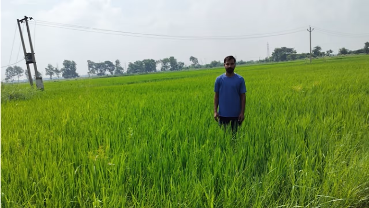 Success Story: बीटेक की पढ़ाई बेंगलुरु में नौकरी पर स्मार्ट खेती से बनी पहचान, अब सालाना कमाई 35 लाख के पार