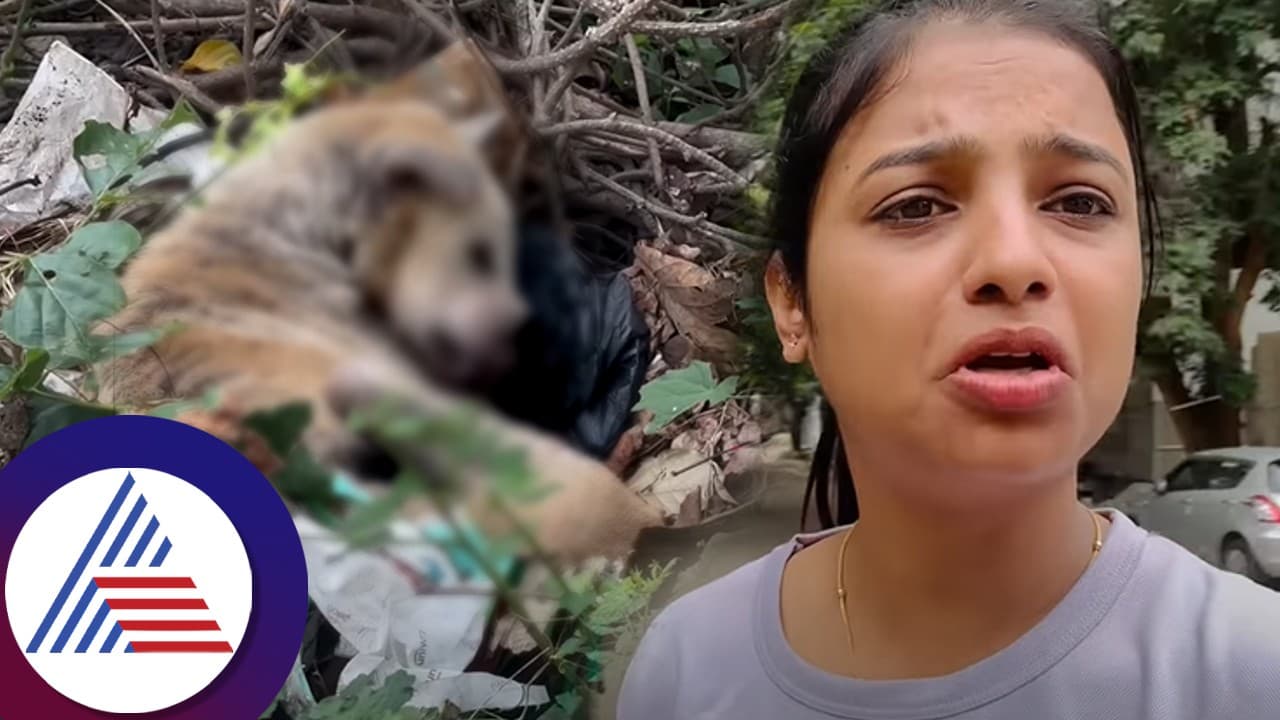 ಬೀದಿ ನಾಯಿ ಪ್ರಾಣ ಉಳಿಸಿದ ಸೋನು ಗೌಡ; ನಿನ್ನಲ್ಲೂ ಒಳ್ಳೆ ಗುಣಗಳಿದೆ ಎಂದು ಕೊಂಡಾಡುತ್ತಿರುವ ನೆಟ್ಟಿಗರು! 