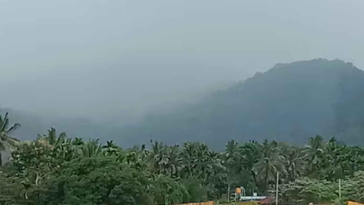 ಕಸ್ತೂರಿ ರಂಗನ್ ವರದಿ ಜಾರಿ: ಒತ್ತುವರಿ ತೆರವು ಆತಂಕದಲ್ಲಿ ಮಲೆನಾಡಿನ ಜನತೆ ಕಸ್ತೂರಿ ರಂಗನ್ ವರದಿ ಜಾರಿ: ಒತ್ತುವರಿ ತೆರವು ಆತಂಕದಲ್ಲಿ ಮಲೆನಾಡಿನ ಜನತೆ