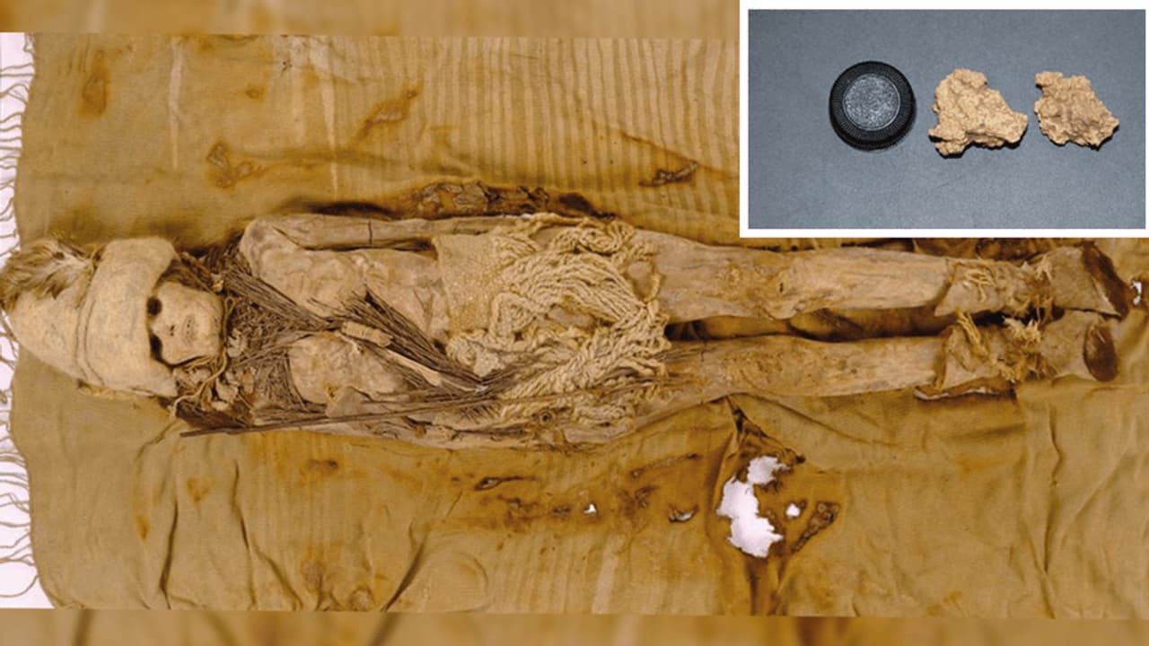 Vintage enough? World's oldest cheese found on 3,600 year old mummies in China, scientists extract DNA