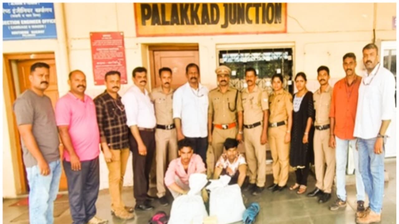 പാലക്കാട് റെയിൽവെ സ്റ്റേഷനിൽ നിന്ന് കണ്ടെടുത്തത് 14 കിലോ കഞ്ചാവ്; രണ്ട് ഇതര സംസ്ഥാന തൊഴിലാളികൾ പിടിയിൽ പാലക്കാട് റെയിൽവെ സ്റ്റേഷനിൽ നിന്ന് കണ്ടെടുത്തത് 14 കിലോ കഞ്ചാവ്; രണ്ട് ഇതര സംസ്ഥാന തൊഴിലാളികൾ പിടിയിൽ
