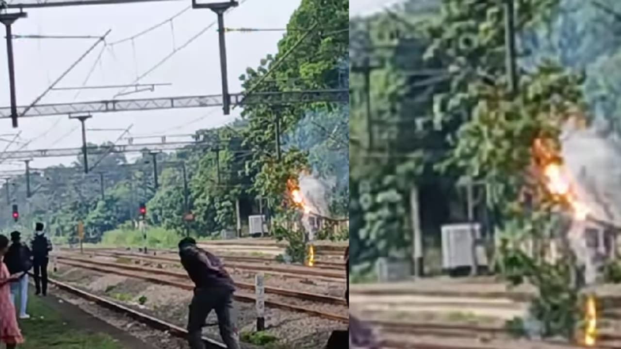 ഹരിപ്പാട് റെയിൽവേ സ്റ്റേഷനിലേക്ക് ട്രെയിനെത്താൻ മിനിറ്റുകൾ മാത്രം, വൈദ്യുതി ലൈനിൽ മരം വീണ് തീ പടര്ന്നു ഹരിപ്പാട് റെയിൽവേ സ്റ്റേഷനിലേക്ക് ട്രെയിനെത്താൻ മിനിറ്റുകൾ മാത്രം, വൈദ്യുതി ലൈനിൽ മരം വീണ് തീ പടര്ന്നു