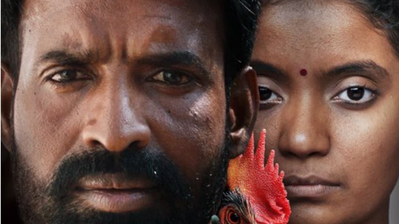 അന്നാ ബെന്നിന്റെ കൊട്ടുകാളി ഒടുവിൽ ഒടിടിയില്‍ പ്രദര്‍ശനത്തിന്