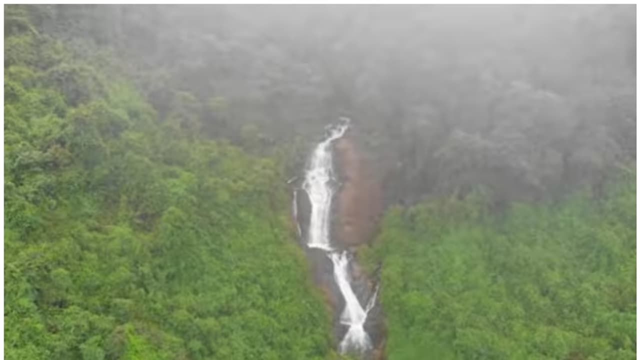 ದಕ್ಷಿಣ ಕನ್ನಡದ ಮನಮೋಹಕ ಕುತ್ಲೂರಿಗೆ ರಾಷ್ಟ್ರಪ್ರಶಸ್ತಿ ಗರಿ, ವಿಶ್ವ ಪ್ರವಾಸಿಗರ ದೃಷ್ಟಿ ಈಗ ಸುಂದರ ಹಳ್ಳಿ ಮೇಲೆ! ದಕ್ಷಿಣ ಕನ್ನಡದ ಮನಮೋಹಕ ಕುತ್ಲೂರಿಗೆ ರಾಷ್ಟ್ರಪ್ರಶಸ್ತಿ ಗರಿ, ವಿಶ್ವ ಪ್ರವಾಸಿಗರ ದೃಷ್ಟಿ ಈಗ ಸುಂದರ ಹಳ್ಳಿ ಮೇಲೆ!