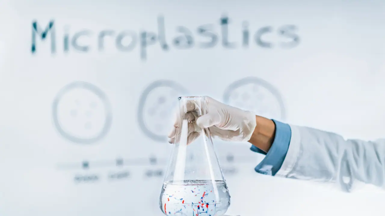 Microplastics in 68% bladder cancer cases: Study challenges WHO report, raises BIG question on water safety Microplastics in 68% bladder cancer cases: Study challenges WHO report, raises BIG question on water safety