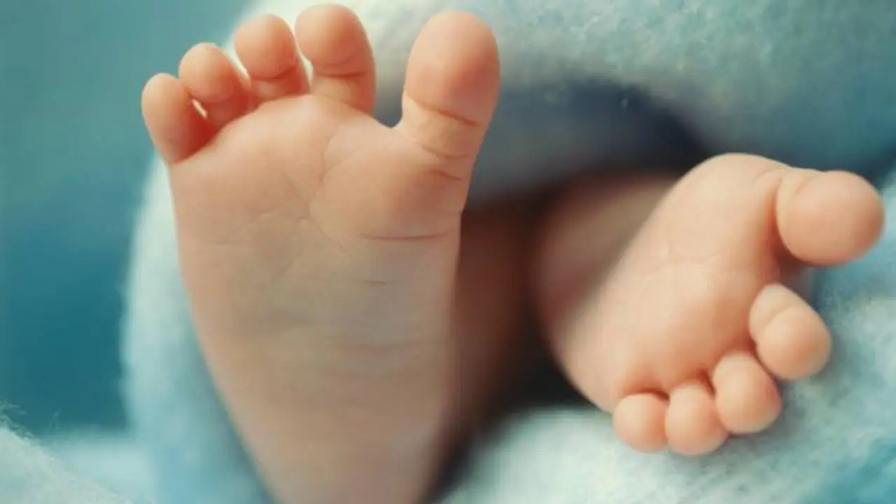 വാടക ​ഗർഭധാരണത്തിലൂടെ മാതാപിതാക്കളാകുന്നവർക്കും പ്രസവാവധി പ്രഖ്യാപിച്ച് ഒഡിഷ സർക്കാർ