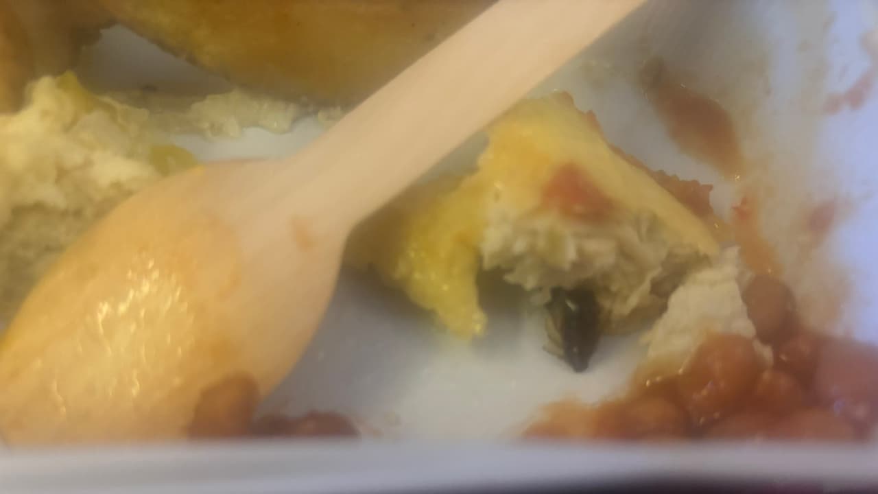 SHOCKING! Woman finds cockroach in Air India flight meal, her 2 year old son falls sick; WATCH viral video SHOCKING! Woman finds cockroach in Air India flight meal, her 2 year old son falls sick; WATCH viral video