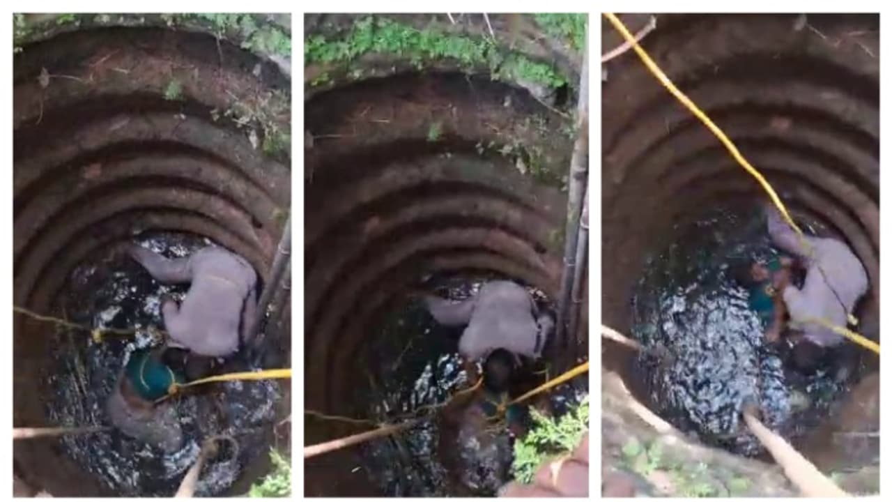 രാധമ്മയുടെ ജീവൻ കൈകളിൽ ചേർത്ത് എസ്ഐ ജയേഷ്; കിണറ്റിൽ വീണ വയോധിക്ക് രക്ഷകനായി പൊലീസ് ഉദ്യോ​ഗസ്ഥൻ