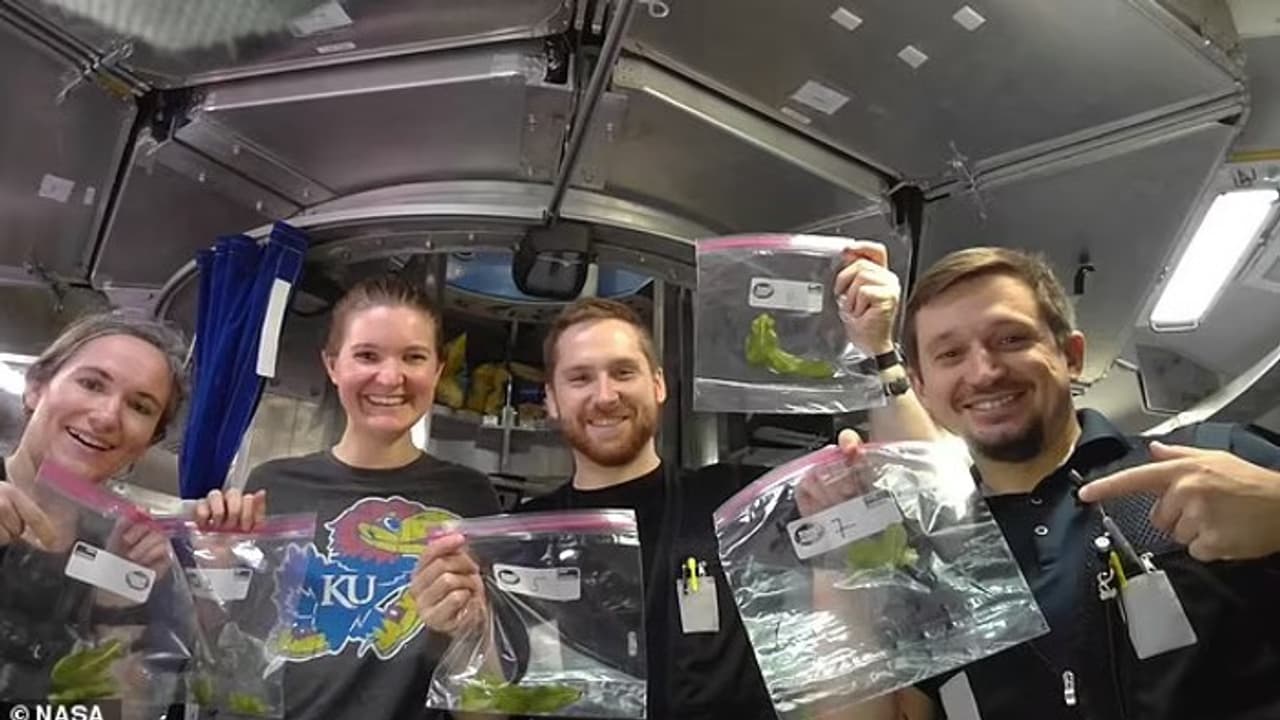 45 days on 'Mars': How 4 scientists survived brutal reality of life on Red Planet during NASA's simulation