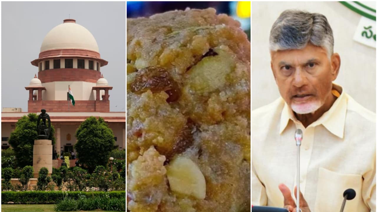 'ലഡുവിൽ മൃഗക്കൊഴുപ്പെന്ന പ്രസ്താവന എന്തിന് നടത്തി'?ചന്ദ്രബാബു നായിഡുവിനെതിരെ രൂക്ഷ വിമര്‍ശനവുമായി സുപ്രീംകോടതി