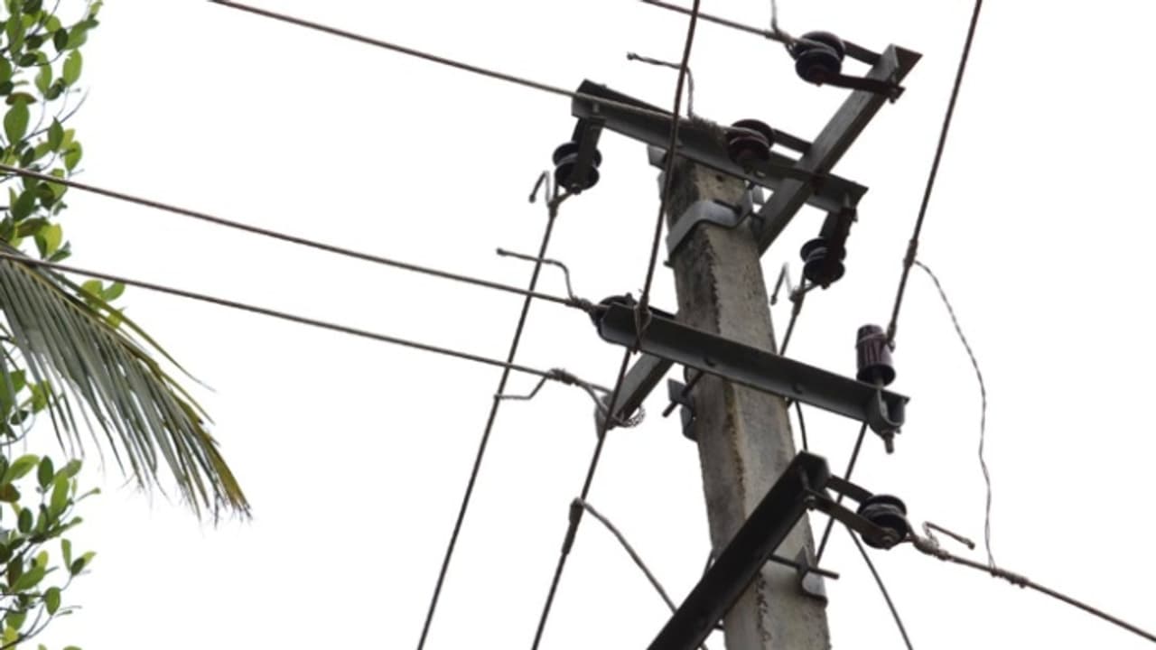 അവഗണിച്ചാൽ ഇനി മുതൽ പിഴ നൽകണമെന്ന് കെഎസ്ഇബി; ഇലക്ട്രിക് പോസ്റ്റുകളിലെ പരസ്യ ബോര്‍ഡുകള്‍ നീക്കാൻ നിർദേശം 