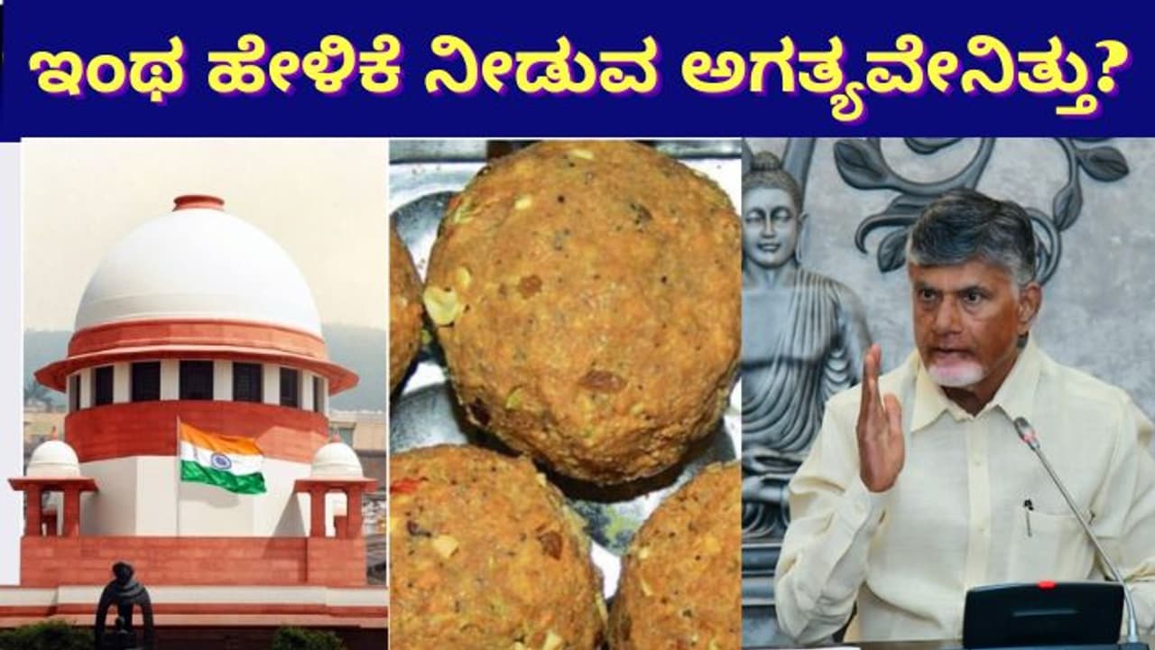 ತನಿಖೆಗೂ ಮುನ್ನವೇ ತುಪ್ಪದಲ್ಲಿ ಪ್ರಾಣಿ ಕೊಬ್ಬು ಇತ್ತೆಂದು ಹೇಳಿದ್ದೇಕೆ? ಆಂಧ್ರ ಸಿಎಂಗೆ ಸುಪ್ರೀಂ ತರಾಟೆ
