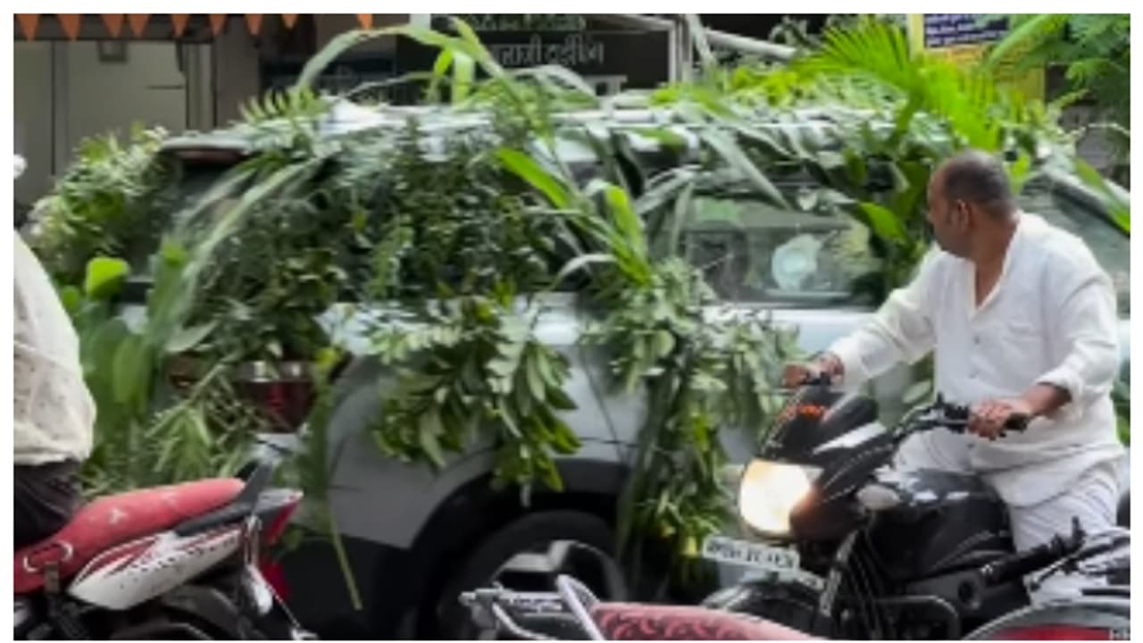 'ഒരു കാട് സഞ്ചരിക്കുന്നത് പോലെ'; ചെടികളുടെ ഇലകള് കൊണ്ട് പൊതിഞ്ഞ വിവാഹ വണ്ടിയുടെ വീഡിയോ വൈറൽ 'ഒരു കാട് സഞ്ചരിക്കുന്നത് പോലെ'; ചെടികളുടെ ഇലകള് കൊണ്ട് പൊതിഞ്ഞ വിവാഹ വണ്ടിയുടെ വീഡിയോ വൈറൽ