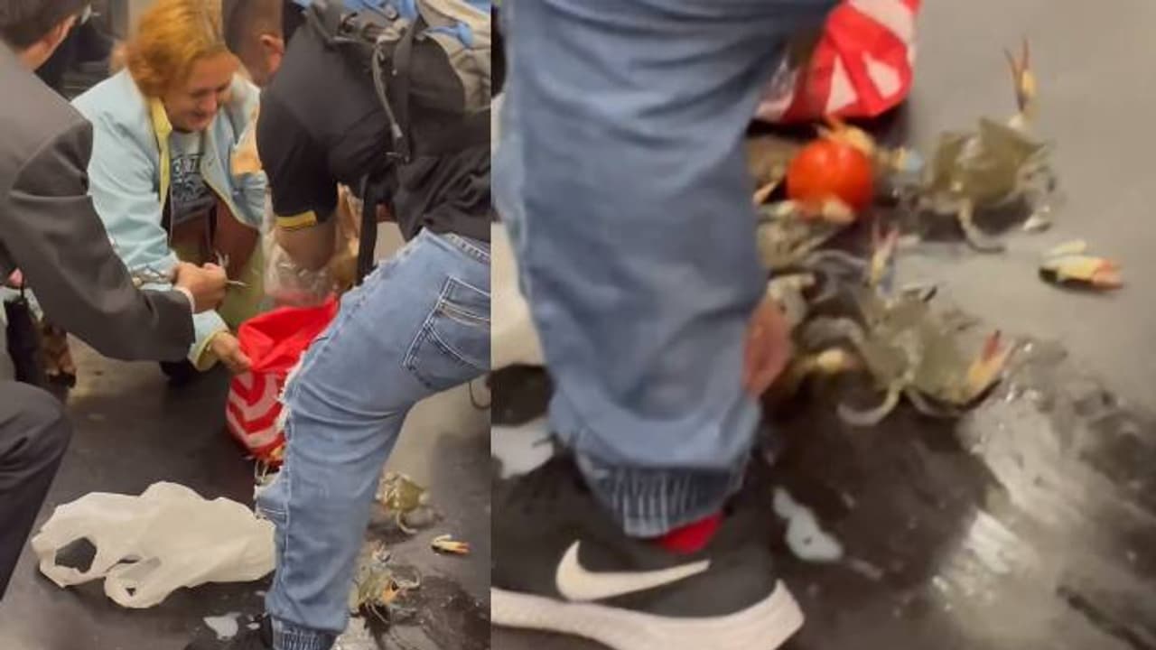 പെട്ടുമോനേ, പെട്ടു; മെട്രോയിലങ്ങിങ്ങ് പാഞ്ഞ് ജീവനുള്ള ഞണ്ടുകൾ, സഹയാത്രികർ ചെയ്തത്, വൈറലായി വീഡിയോ