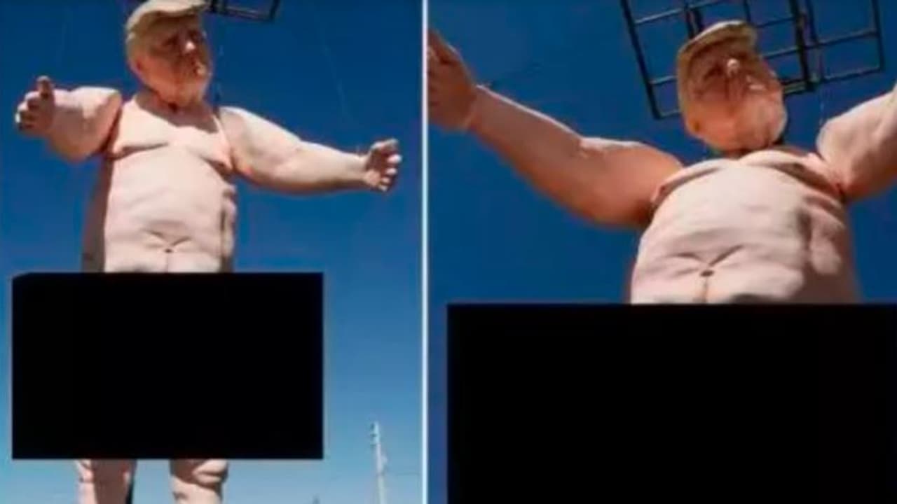  ಅಮೆರಿಕಾ ಅಧ್ಯಕ್ಷೀಯ ಚುನಾವಣೆಗೆ ಮೊದಲು ಹುಟ್ಟುಡುಗೆಯಲ್ಲಿ ಕಾಣಿಸಿಕೊಂಡ ಟ್ರಂಪ್!