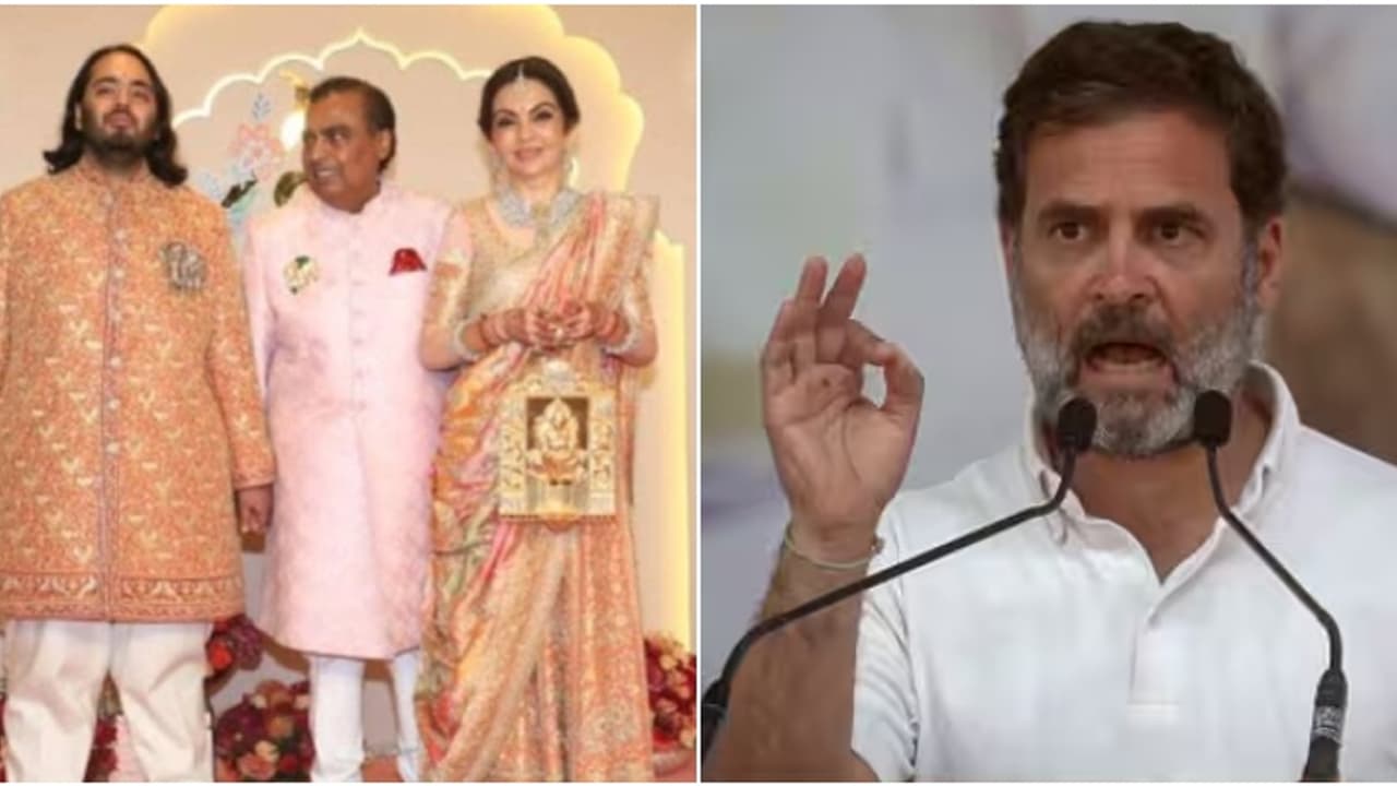വിവാഹം നടത്താൻ കർഷകന് വായ്പ എടുക്കണം, അംബാനി ചെലവാക്കിയത് ജനങ്ങളുടെ പണം; ആഞ്ഞടിച്ച് രാഹുൽ, മോദിയ്ക്കും വിമർശനം