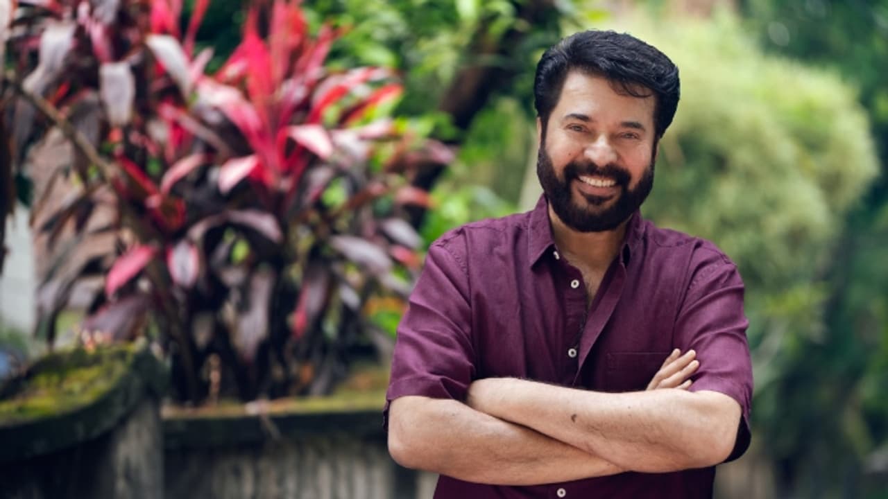ലോക ചിത്രങ്ങൾക്കിടയിൽ ഇന്ത്യയിൽ നിന്നൊരു പടം മാത്രം, അതും മമ്മൂട്ടിയുടേത് ! 