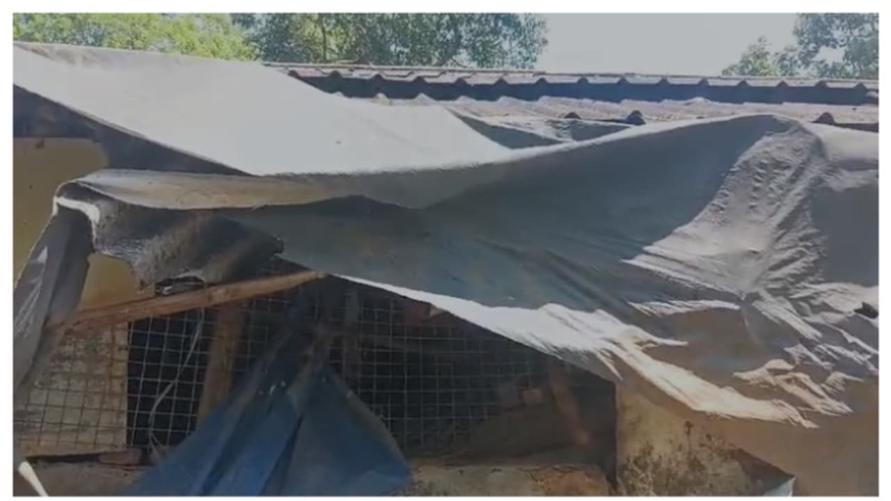 കാലടി പ്ലാന്റേഷനിൽ തൊഴിലാളി ലയത്തിന് നേർക്ക് കാട്ടാന ആക്രമണം കാലടി പ്ലാന്റേഷനിൽ തൊഴിലാളി ലയത്തിന് നേർക്ക് കാട്ടാന ആക്രമണം