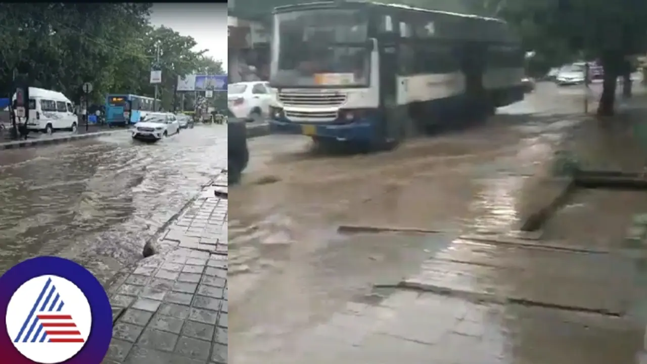 Bengaluru: IMD issues heavy rainfall alert until October 9 due to stormy winds from Lakshadweep