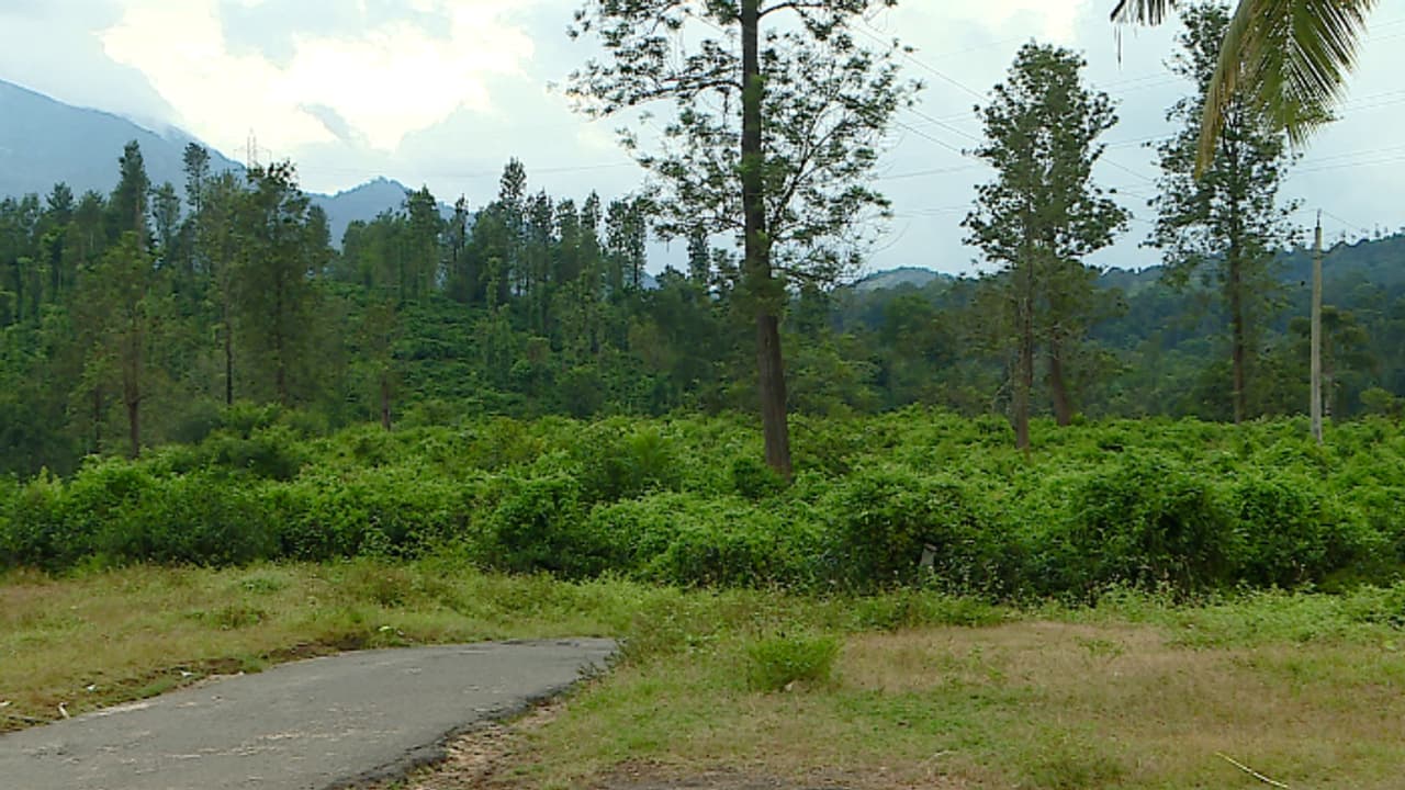 വയനാട്ടിൽ ടൗൺഷിപ്പ് രണ്ടിടത്ത് പരിഗണനയിൽ; പരിസ്ഥിതി വകുപ്പിന്റെ അനുമതി വേണം, ഗുണഭോക്താക്കളുടെ പട്ടിക ഉടൻ വയനാട്ടിൽ ടൗൺഷിപ്പ് രണ്ടിടത്ത് പരിഗണനയിൽ; പരിസ്ഥിതി വകുപ്പിന്റെ അനുമതി വേണം, ഗുണഭോക്താക്കളുടെ പട്ടിക ഉടൻ
