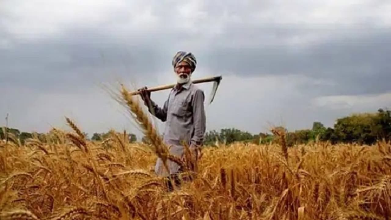 सरकारी योजना: किसानों को ऐसे मिल रही 15 लाख की मदद, जानें पूरी प्रॉसेस