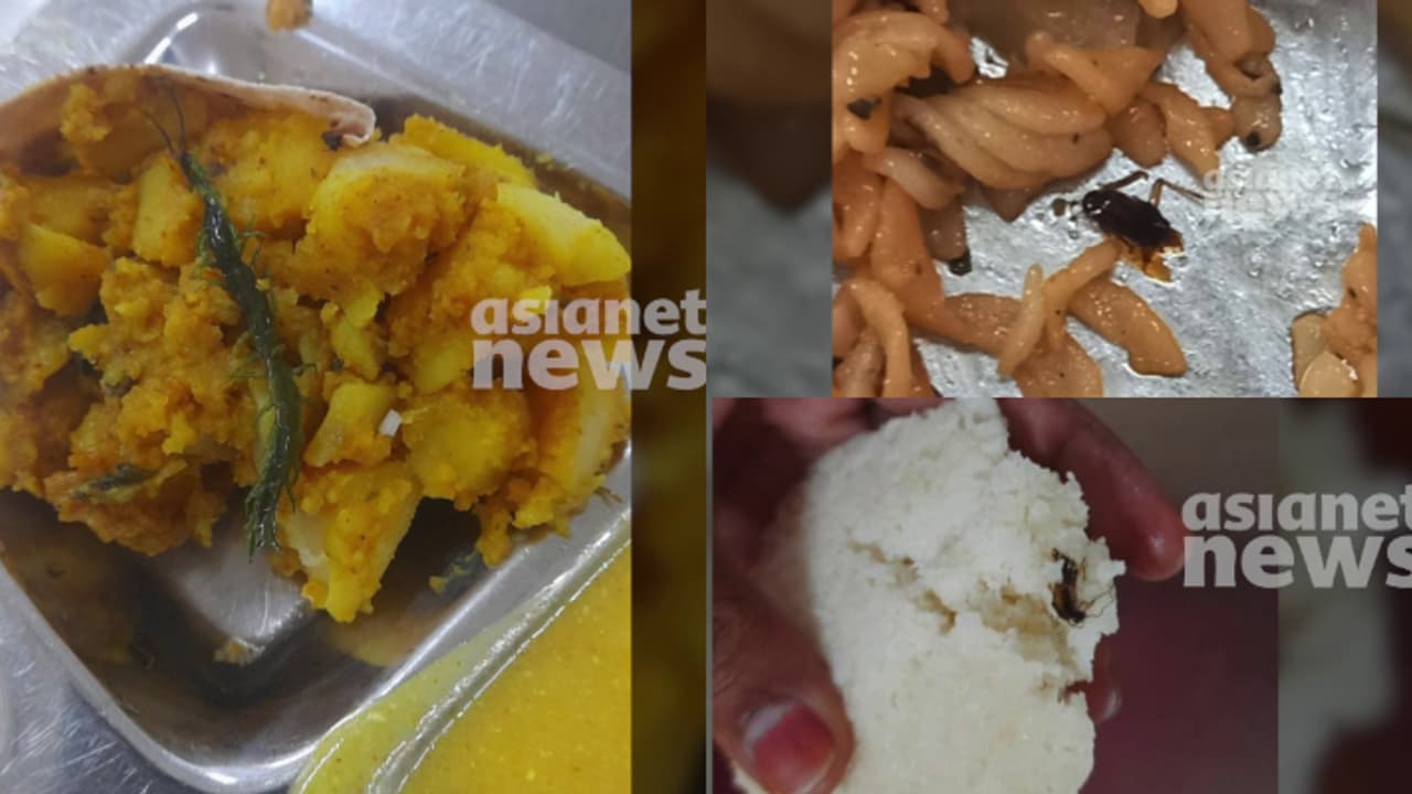 യൂണിവേഴ്സിറ്റിയിലെ ഹോസ്റ്റൽ ഭക്ഷണത്തിൽ പഴുതാര, പുഴു, പാറ്റ; 'പരാതിപ്പെട്ടാൽ ഇന്റേണൽ മാർക്ക് കുറയ്ക്കും' യൂണിവേഴ്സിറ്റിയിലെ ഹോസ്റ്റൽ ഭക്ഷണത്തിൽ പഴുതാര, പുഴു, പാറ്റ; 'പരാതിപ്പെട്ടാൽ ഇന്റേണൽ മാർക്ക് കുറയ്ക്കും'